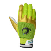 Deluxe Indoor Cricket Gloves