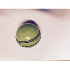 Autograph Cricket Ball